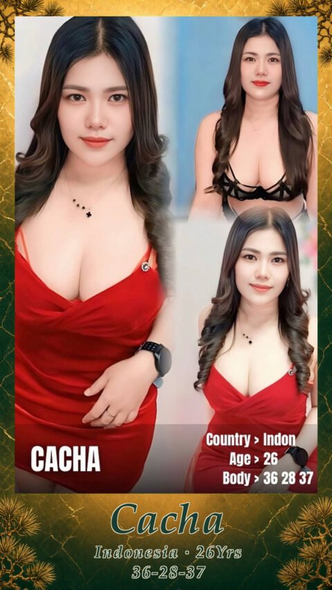 Cacha